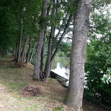 Gite Des Etangs De Saint Bale Appartement Vrigne-aux-Bois Kamer foto