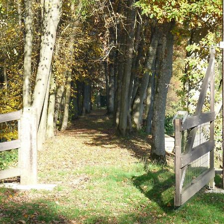 Gite Des Etangs De Saint Bale Appartement Vrigne-aux-Bois Buitenkant foto