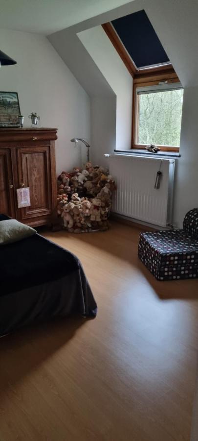 Gite Des Etangs De Saint Bale Appartement Vrigne-aux-Bois Buitenkant foto