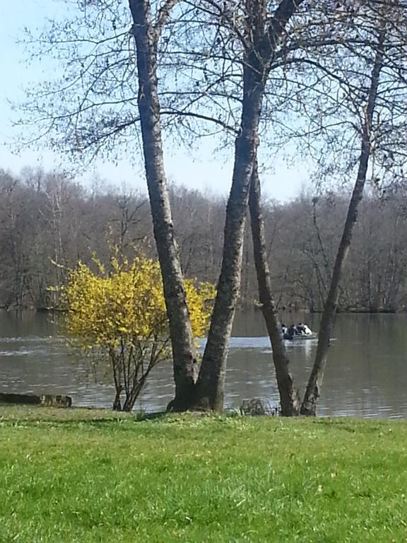 Gite Des Etangs De Saint Bale Appartement Vrigne-aux-Bois Kamer foto