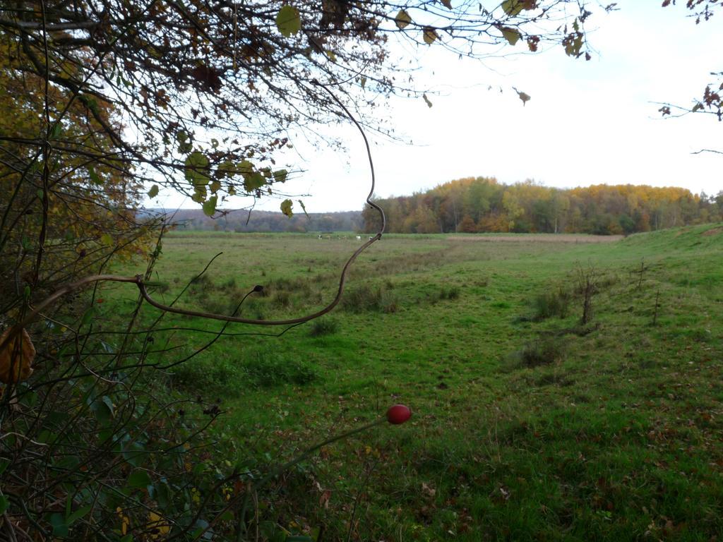 Gite Des Etangs De Saint Bale Appartement Vrigne-aux-Bois Buitenkant foto