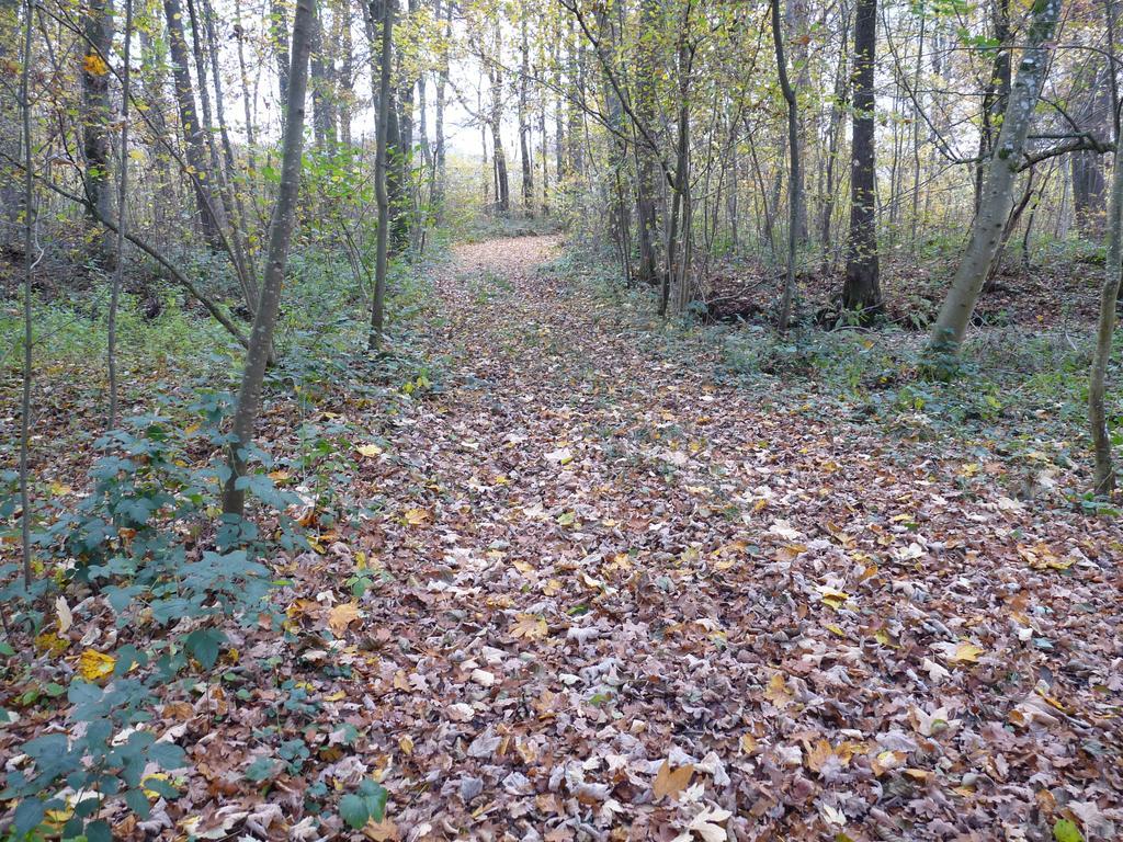 Gite Des Etangs De Saint Bale Appartement Vrigne-aux-Bois Buitenkant foto