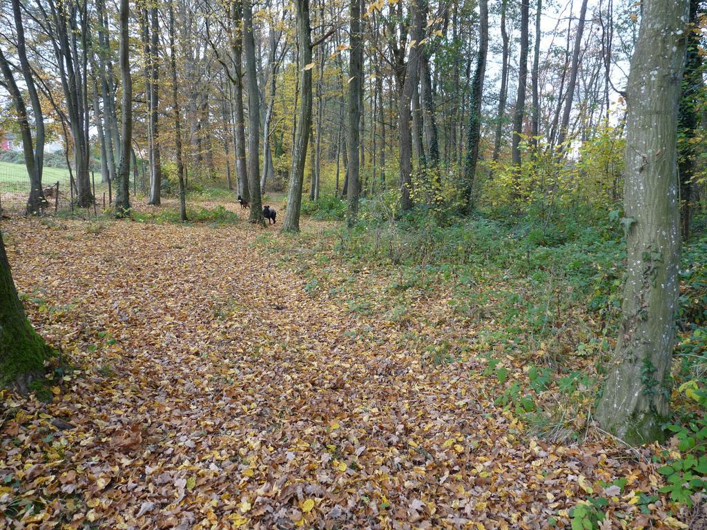 Gite Des Etangs De Saint Bale Appartement Vrigne-aux-Bois Buitenkant foto