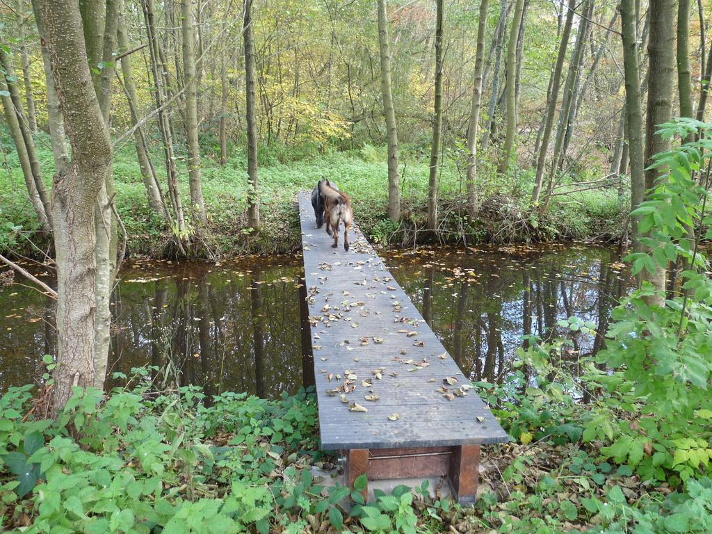 Gite Des Etangs De Saint Bale Appartement Vrigne-aux-Bois Buitenkant foto