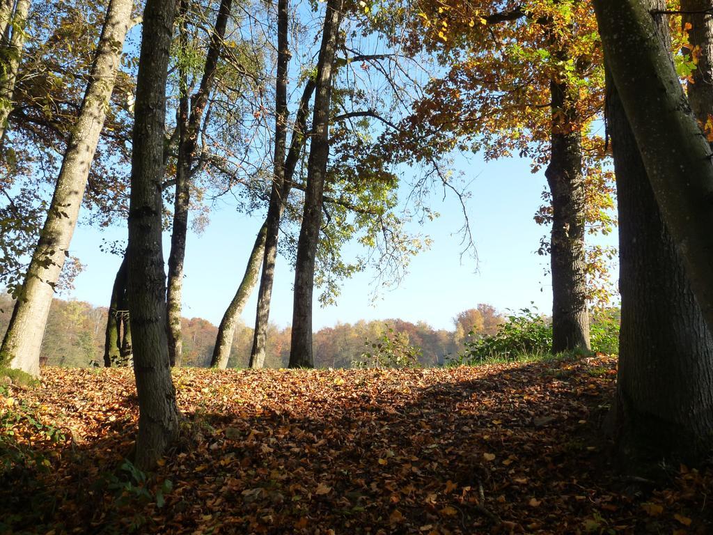 Gite Des Etangs De Saint Bale Appartement Vrigne-aux-Bois Buitenkant foto