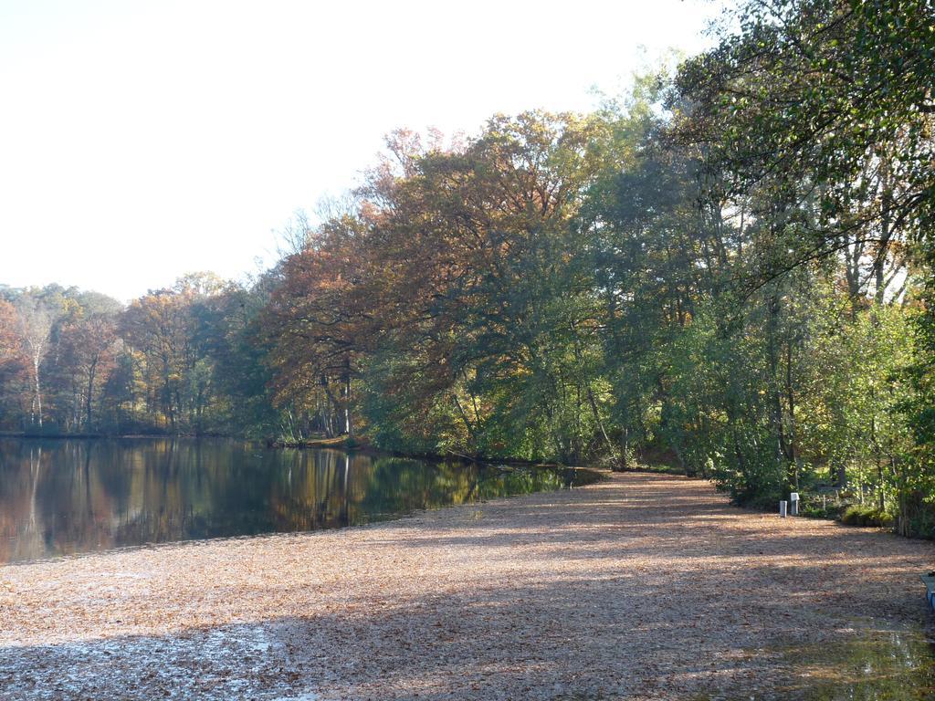 Gite Des Etangs De Saint Bale Appartement Vrigne-aux-Bois Buitenkant foto