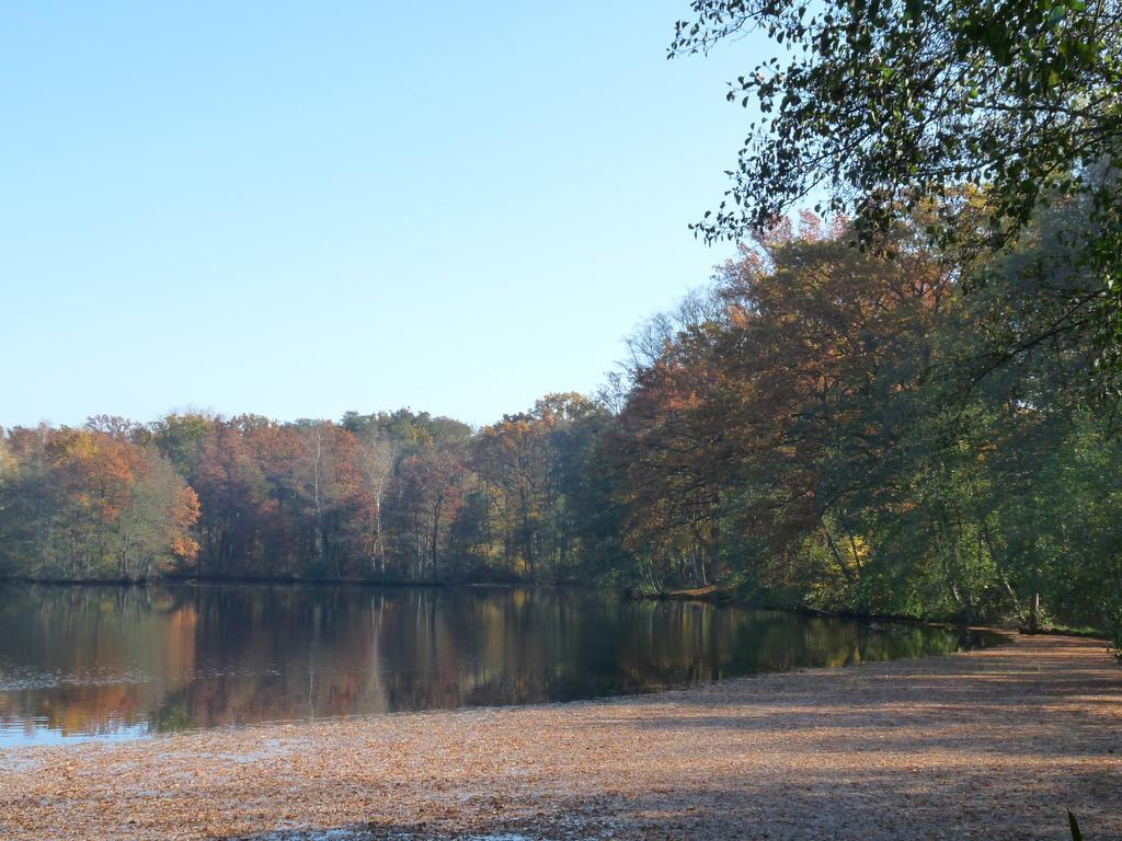 Gite Des Etangs De Saint Bale Appartement Vrigne-aux-Bois Buitenkant foto