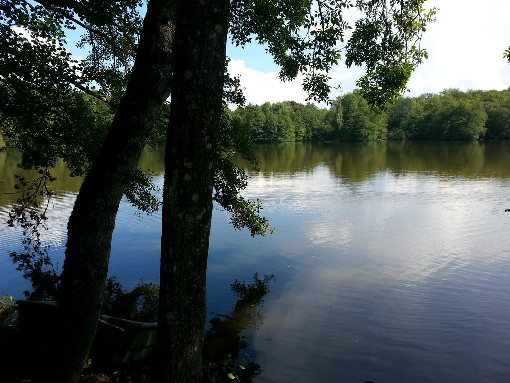 Gite Des Etangs De Saint Bale Appartement Vrigne-aux-Bois Kamer foto