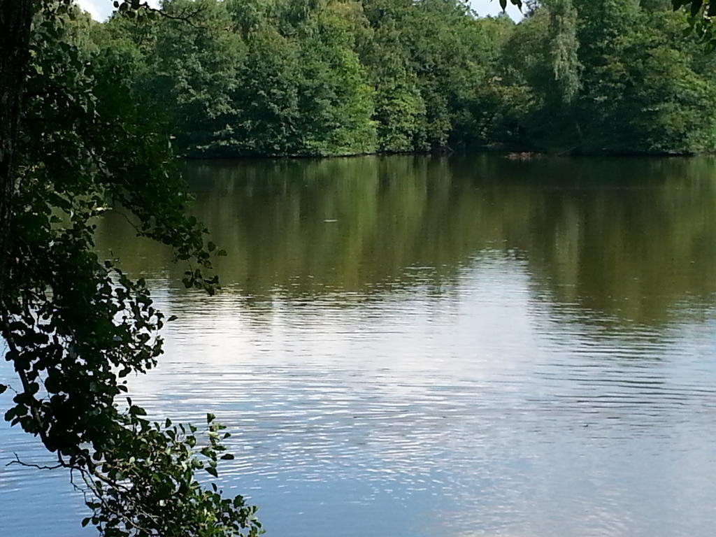 Gite Des Etangs De Saint Bale Appartement Vrigne-aux-Bois Kamer foto