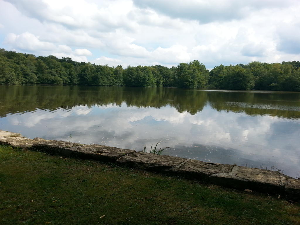 Gite Des Etangs De Saint Bale Appartement Vrigne-aux-Bois Kamer foto