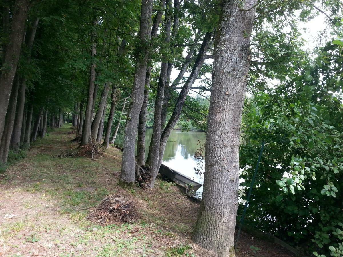 Gite Des Etangs De Saint Bale Appartement Vrigne-aux-Bois Kamer foto