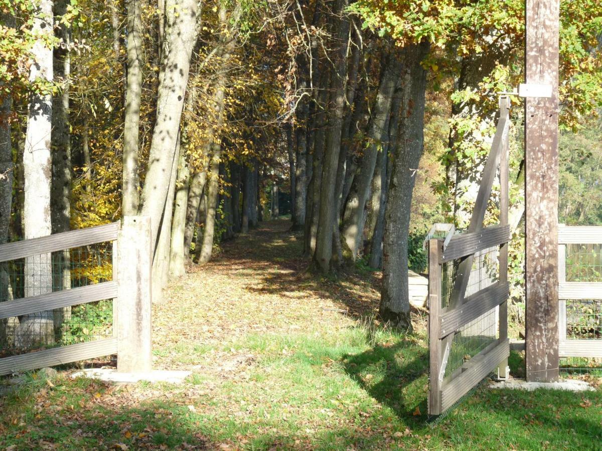 Gite Des Etangs De Saint Bale Appartement Vrigne-aux-Bois Buitenkant foto