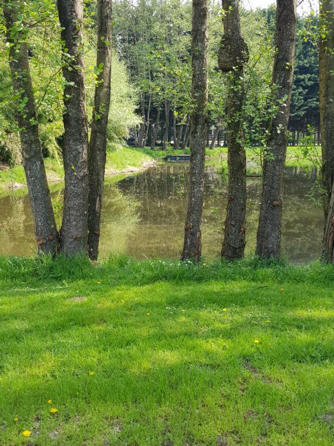 Gite Des Etangs De Saint Bale Appartement Vrigne-aux-Bois Buitenkant foto