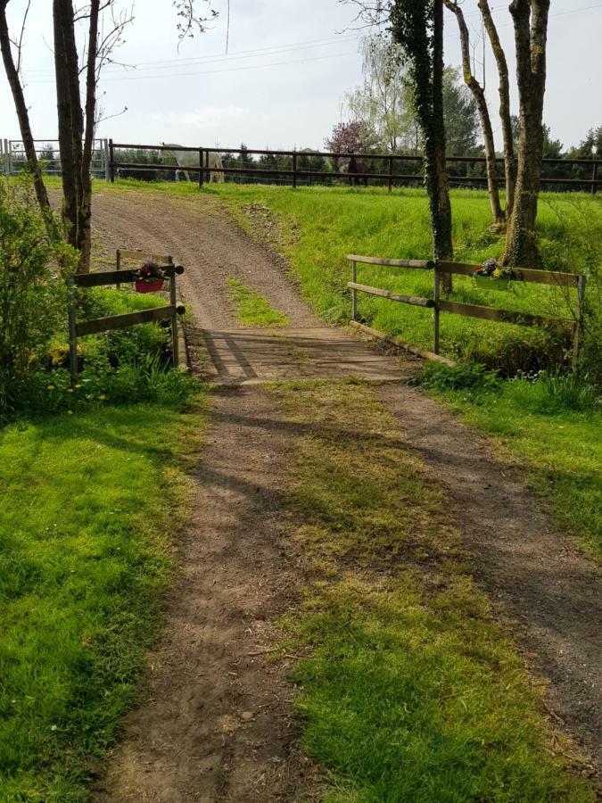 Gite Des Etangs De Saint Bale Appartement Vrigne-aux-Bois Buitenkant foto