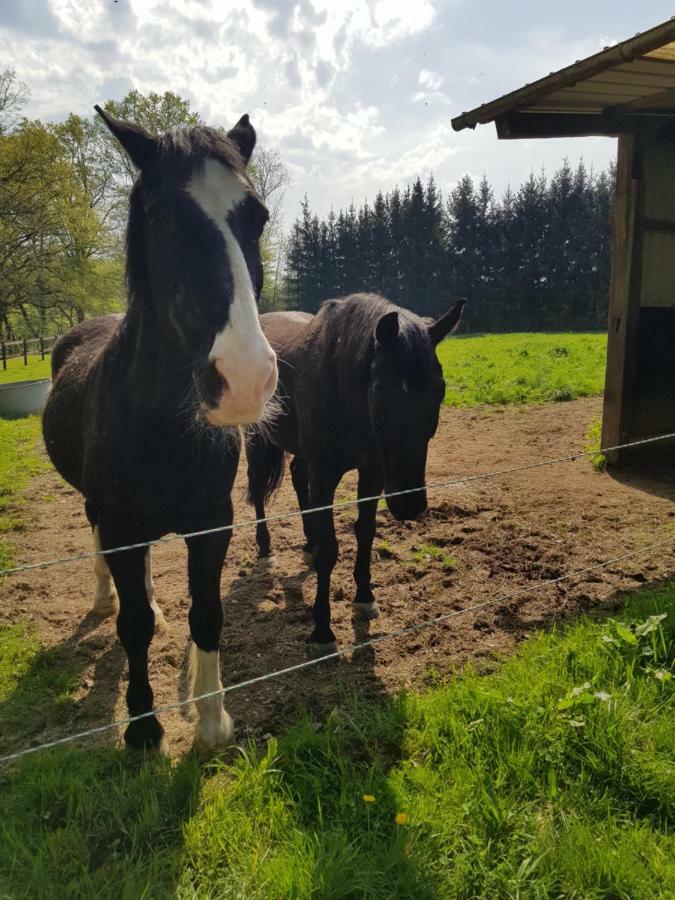 Gite Des Etangs De Saint Bale Appartement Vrigne-aux-Bois Buitenkant foto